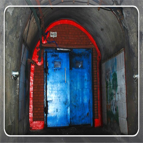 自動(dòng)行車風(fēng)門